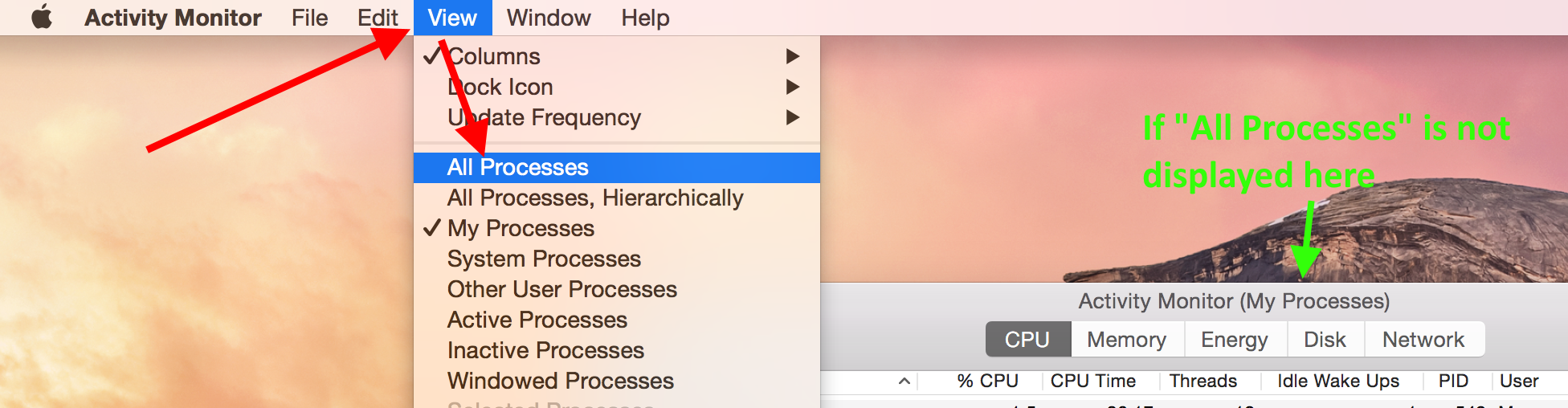 Screencap showing "All Processes"